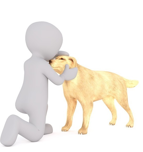 Для стоматологии